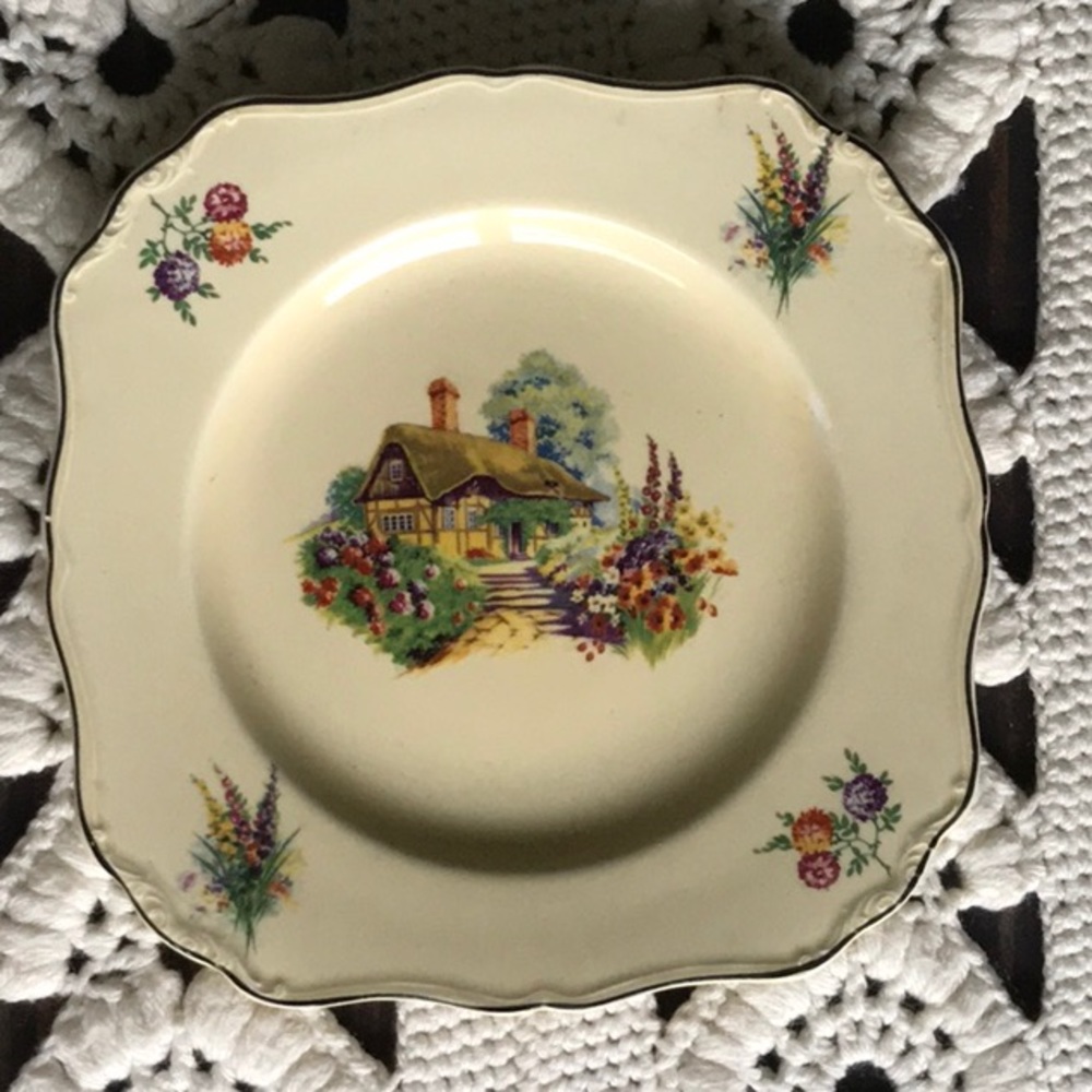 J&G Meakin England China Cottage Garden Plate